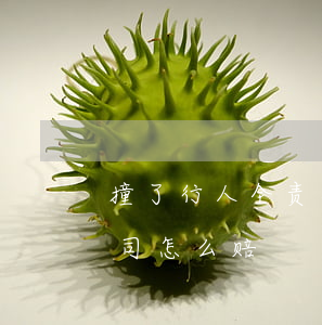 撞了行人全责怎么赔偿(撞到行人全责保险公司怎么赔)