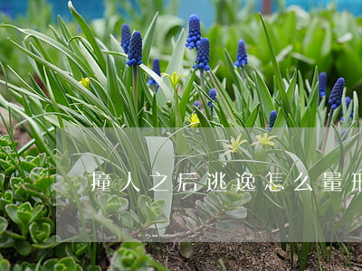 撞人之后逃逸怎么量刑,有什么量刑標準