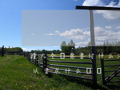 撞人全責需要付什么法律(撞車后對方全責可以要求什么賠償)