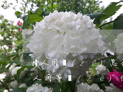 撞人同責(zé)怎么賠付(車(chē)撞人同等責(zé)任怎么賠)