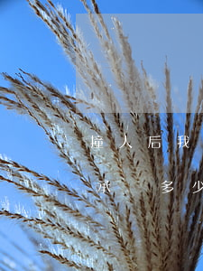 撞人后我全責要出錢嗎(撞著人全責了自己該承擔多少費用)