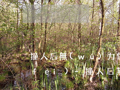 撞人后無(wú)力償還醫(yī)藥費(fèi)-撞人后無(wú)力償還醫(yī)藥費(fèi)怎么處理