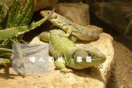 撞人拍片沒事要給錢嗎