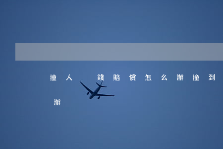 撞人沒錢賠償怎么辦(撞到人了沒有錢賠怎么辦)