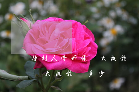 撞到人骨折保險大概能賠多少(撞到人骨折保險大概能賠多少)
