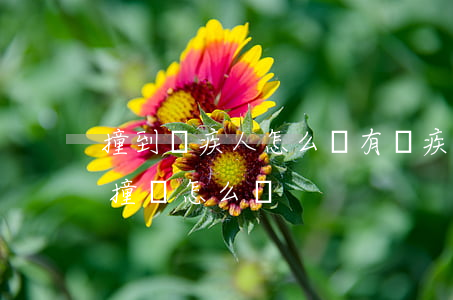 撞到殘疾人怎么賠(有殘疾證被車(chē)撞該怎么賠)