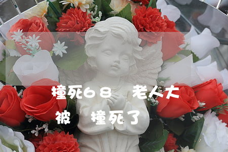 撞死68歲老人大約賠償多少萬(77歲老人被車撞死了賠償標準)
