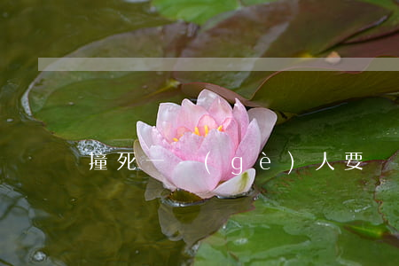 撞死一個(gè)人要賠多少錢