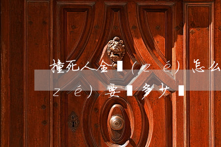 撞死人全責(zé)怎么賠償(撞死人全責(zé)要賠多少錢)