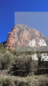 撞死人到保险公司赔偿大概需要多久(撞死人保险公司赔了自己还要赔钱么)