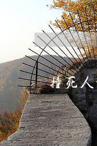 撞死人没钱赔会连累配偶吗(撞了人没钱赔)