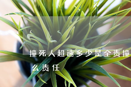 撞死人超速多少是全责(撞死人超速多少是什么责任)