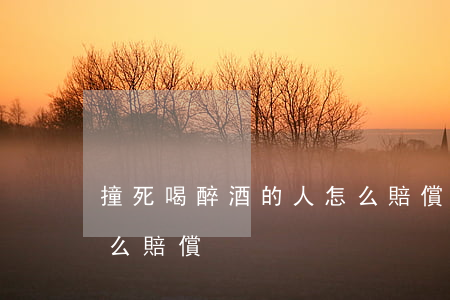 撞死喝醉酒的人怎么賠償(撞死喝醉酒的人怎么賠償)