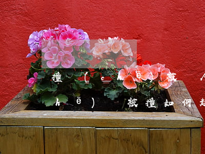 撞車(chē)被別人起訴了怎么辦(車(chē)輛被撞如何起訴)