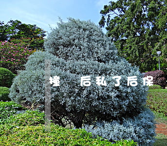撞車后私了后保險公司是不是會拒賠