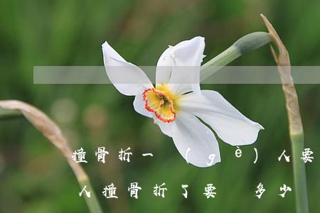 撞骨折一個(gè)人要賠多少錢(出車禍把人撞骨折了要賠多少錢)