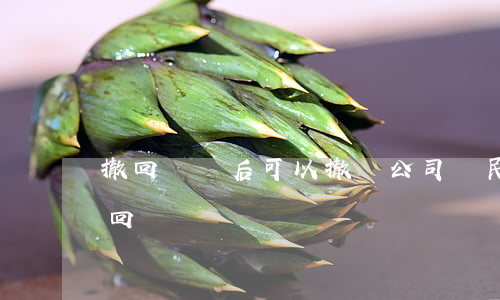 撤回訴訟后可以撤銷公司嗎(民事訴訟可以撤回嗎)