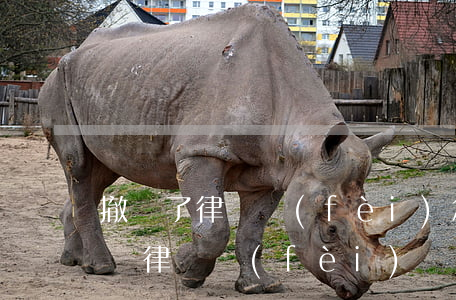 撤訴了律師費(fèi)怎么收(撤訴要不要給律師費(fèi))