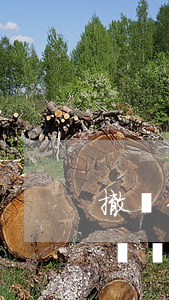 撤訴到哪個(gè)法院都可以嗎(法院按撤訴處理的案件,還可以起訴嗎)