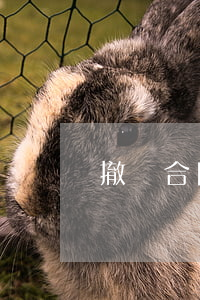 撤訴合同糾紛多久可以起訴