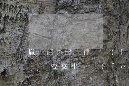 撤訴后再起訴律師費(fèi)需再交嗎(撤訴還要交律師費(fèi)嗎)