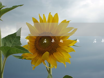 撤訴后再起訴(撤訴后再起訴律師費需再交嗎)