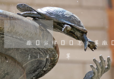 撤訴后律師費怎么算(撤訴后律師費怎么結(jié)算)