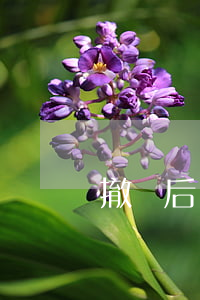 撤訴后還可以再起訴嗎(撤訴完了還可以再起訴嗎)