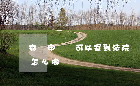 撤訴申請書可以寄到法院嗎(提交了起訴書后怎么撤訴)