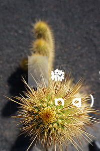 撤訴還需要給律師費(fèi)嗎(請(qǐng)了律師對(duì)方撤訴律師費(fèi)有退嗎)