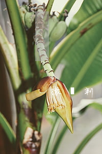 撤銷判決上訴費(fèi)規(guī)定