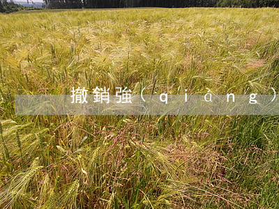 撤銷強(qiáng)制措施是否就是撤案