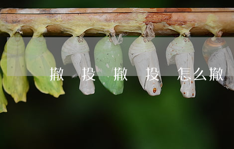 撤銷投訴,撤銷投訴怎么撤銷 撤銷投訴,撤銷投訴怎么撤銷