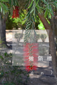 撤銷權(quán)法院可以依職權(quán)撤銷嗎(撤銷權(quán)必須通過法院嗎)