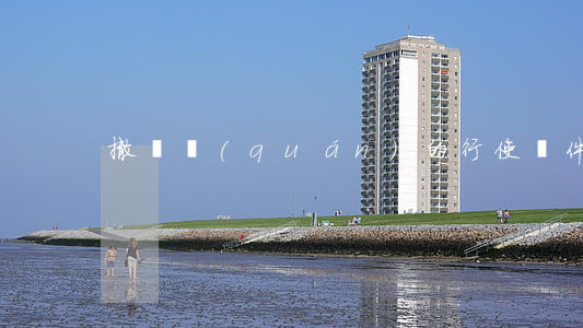 撤銷權(quán)的行使條件是什么