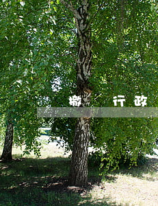 撤銷行政許可需要聽證嗎