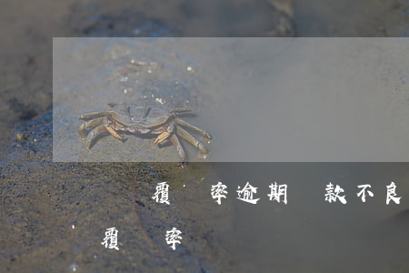 撥備覆蓋率逾期貸款(不良貸款覆蓋率和撥備覆蓋率)