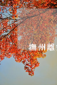 撫州離婚事務(wù)所在哪里