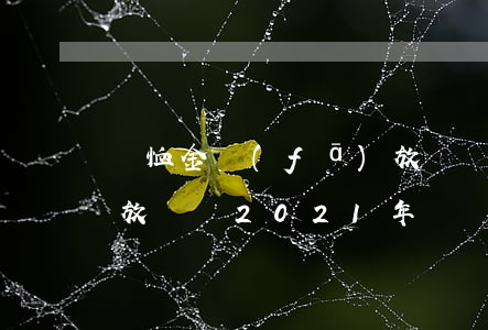 撫恤金發(fā)放標準(撫恤金發(fā)放標準2021年)