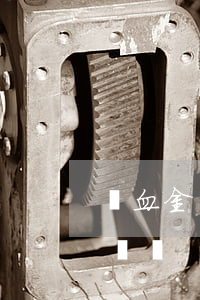 撫血金繼承人申請書怎么寫(撫恤金申請書怎樣寫)