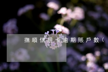 撫順信用卡逾期賬戶數(shù)6