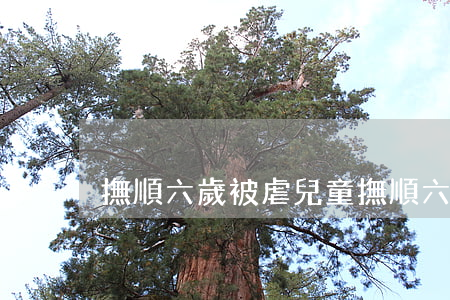 撫順六歲被虐兒童(撫順六歲被虐兒童)