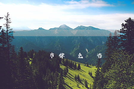 撫順市律師免費咨詢（撫順債務糾紛律師排名）