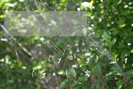 撫養(yǎng)權(quán)的法律規(guī)定