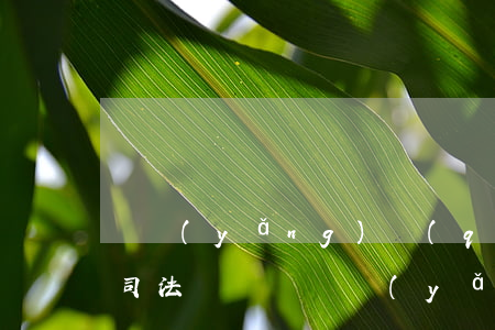 撫養(yǎng)權(quán)確認可以司法確認嗎(撫養(yǎng)權(quán)變更法律依據(jù))