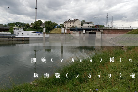 撫養(yǎng)權(quán)起訴書模板(撫養(yǎng)權(quán)判決書范文)