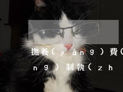 撫養(yǎng)費(fèi)強(qiáng)制執(zhí)行期限(撫養(yǎng)費(fèi)強(qiáng)制執(zhí)行期限)
