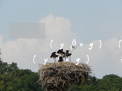 撫養(yǎng)費(fèi)逾期利息應(yīng)該為多少(撫養(yǎng)費(fèi)有利息嗎)