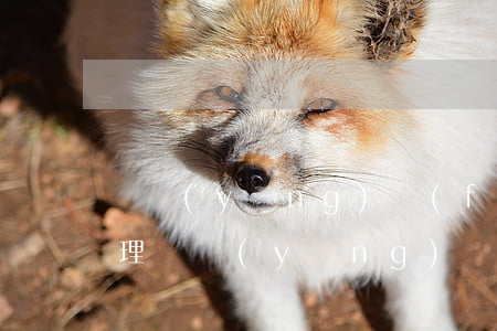 撫養(yǎng)費(fèi)逾期怎么處理(撫養(yǎng)費(fèi)逾期有違約金嗎)