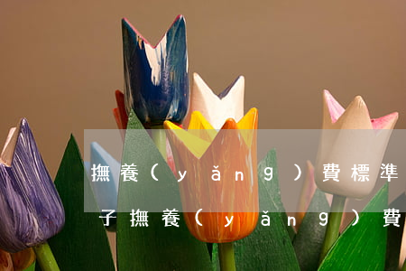 撫養(yǎng)費標準一般是多少(正常孩子撫養(yǎng)費多少錢)